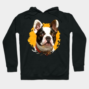 French Bulldog -Frenchie Dog Hoodie